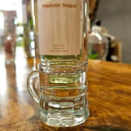 Vinny Sklipek Drapalik Feriehus Milovice (South Moravian)